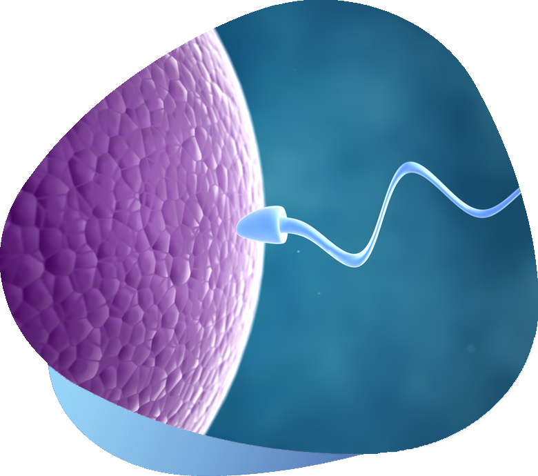 Infertility treatment wakad