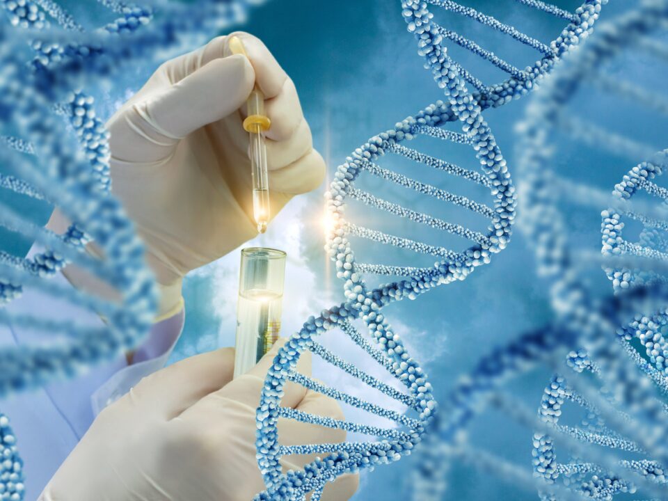 Genetic Factors and Infertility